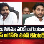 Deputy CM Pawan Kalyan Mass Reaction On YS Jagan Comments
