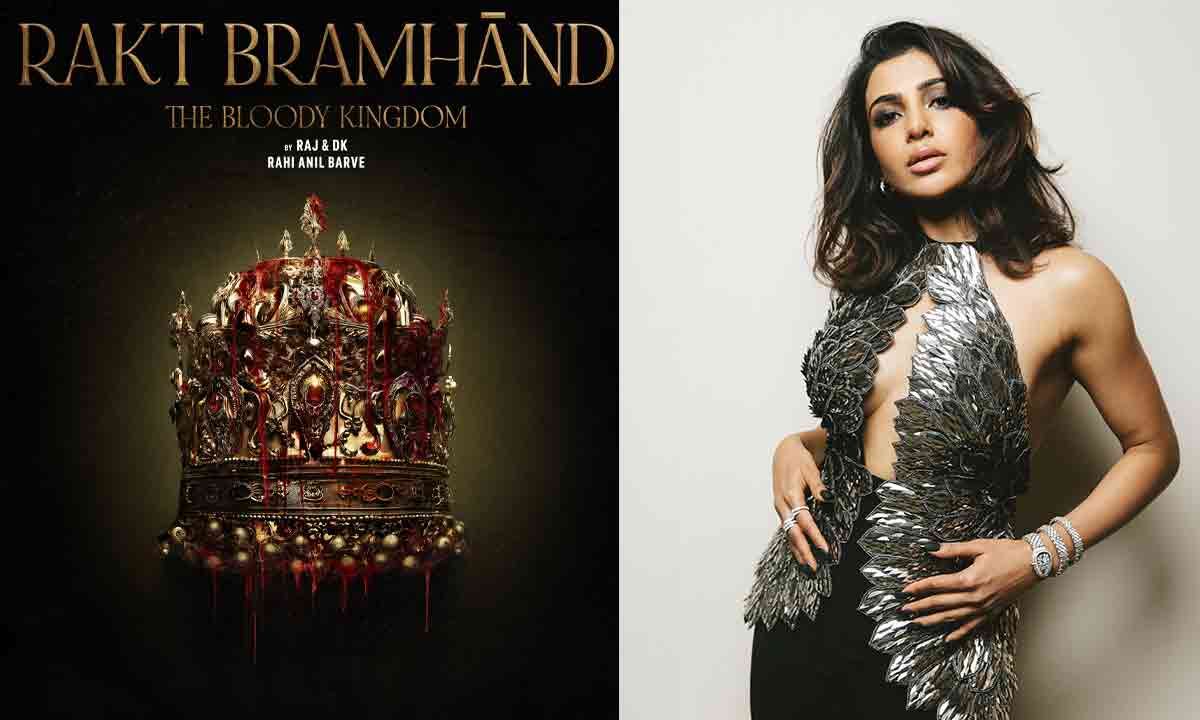 సామ్‌ నటించిన వెబ్‌ సిరీస్‌కు బ్రేకులు!