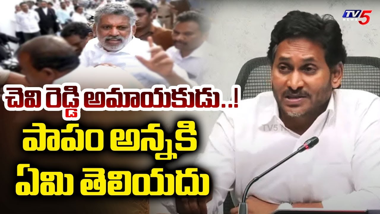 YS Jagan First Reaction on Chevireddy bhaskar reddy Arrest