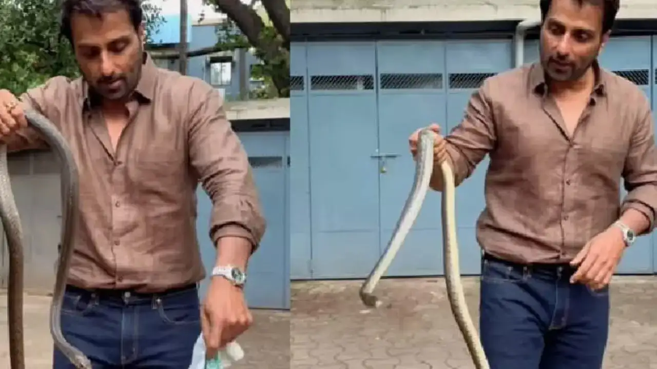 Sonu Sood Captures Snake with Bare Hands