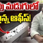 Kavitha Followers Attack on MLC Teenmar Mallanna