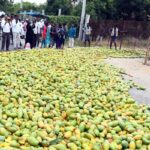 రోడ్లపై మామిడికాయలు.. ఇదీ కుట్రేనా జగన్!