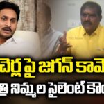 Minister Niammala Ramanaidu Reacts Over Jagan Comments On Banakacherla