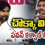 Pawan Kalyan Powerful Comments Over YSRCP Leaders