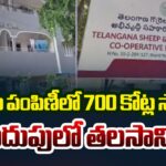 Sheep Distribution Scam: ED Takes Talasani’s OSD Kalyan Into Custody
