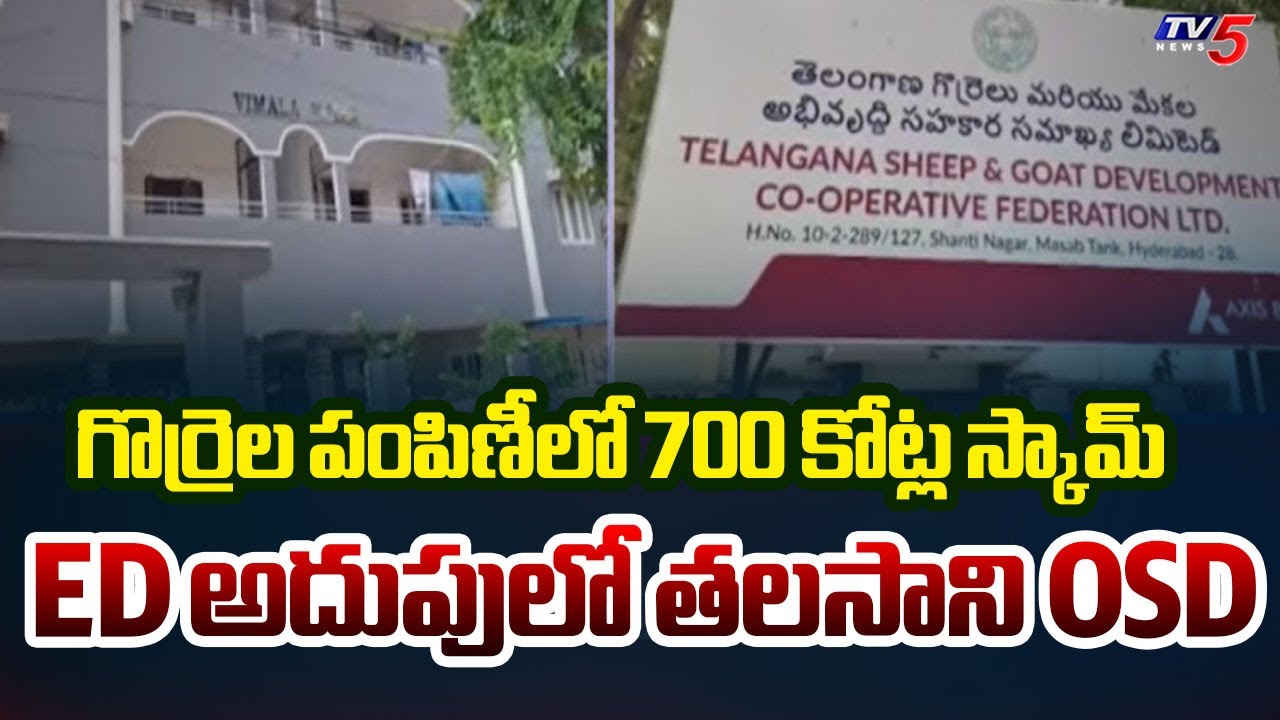Sheep Distribution Scam: ED Takes Talasani’s OSD Kalyan Into Custody