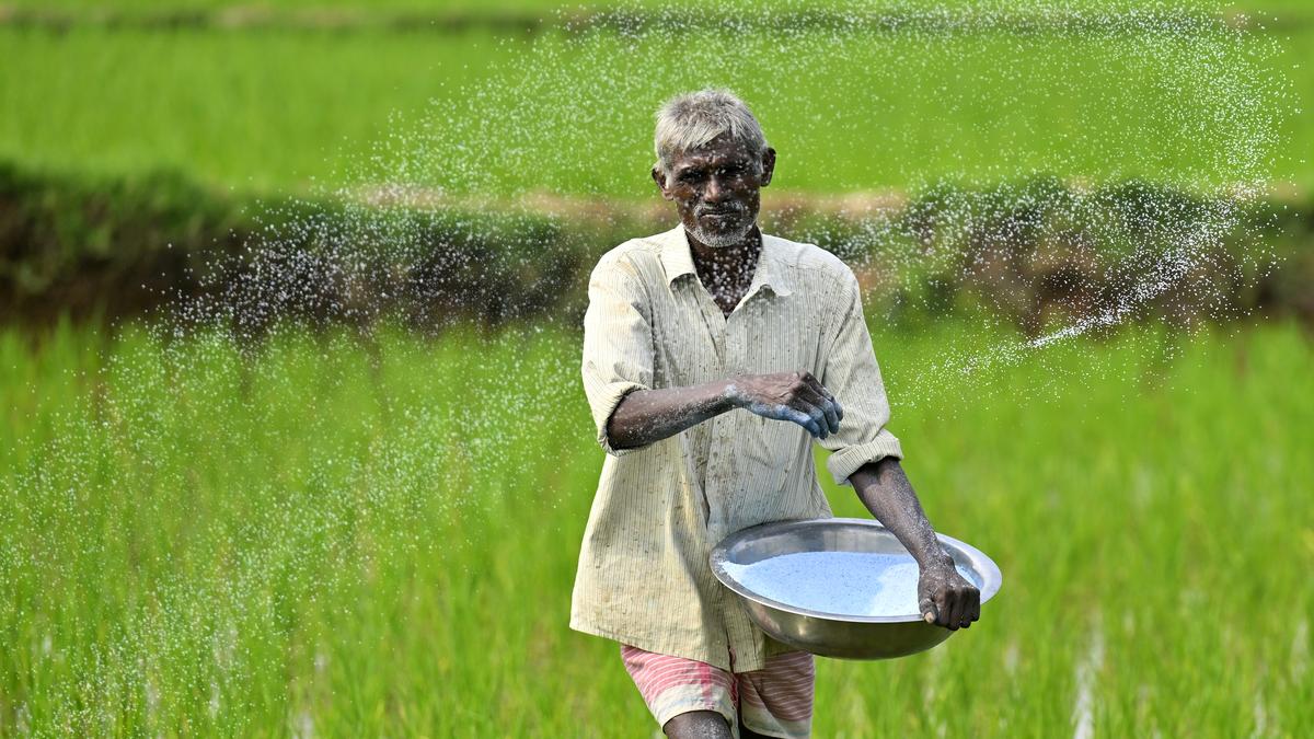 Congress, BJP Leaders Busy In political Abuses, while Telangana Farmers Facing severe urea shortage