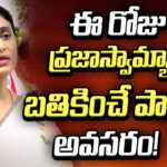 YS Sharmila Bold Comments PM Modi