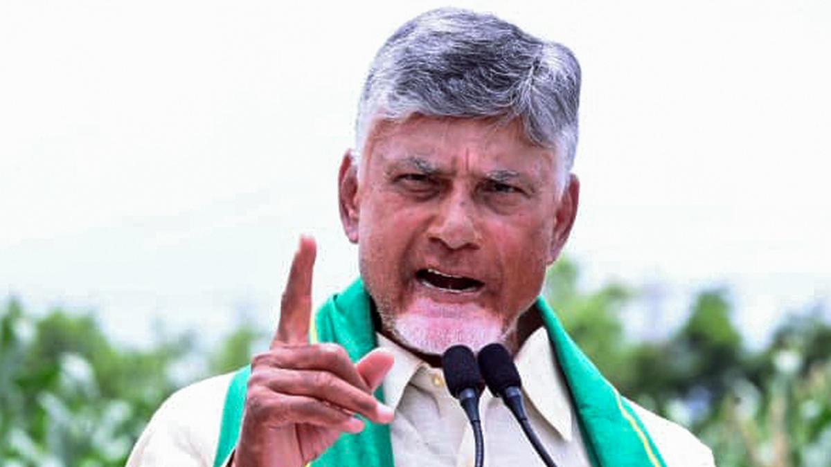 CM Chandrababu says No panic over supply of Fertilizers, More Reserves Than Demand