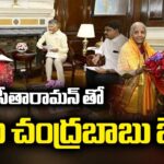CM Chandrababu Meets Union Minister Nirmala Sitharaman