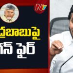 YS Jagan Fires on CM Chandrababu