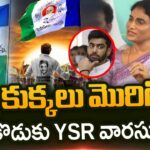 YS Sharmila Reddy Strong Counters to YSRCP
