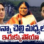 YS Vijaya Petition In Chennai NCLTA Tribunal