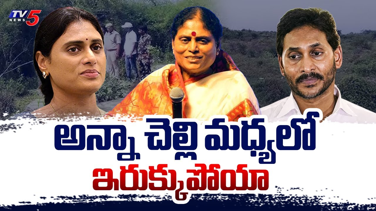 YS Vijaya Petition In Chennai NCLTA Tribunal