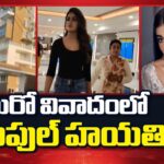 Police Case Filed Against Actress Dimple Hayathi