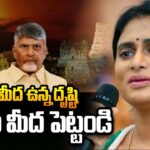 YS Sharmila Demands To CM Chandrababu