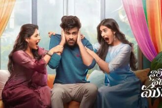 Nari Nari Naduma Murari: A delightful entertainer full of fun