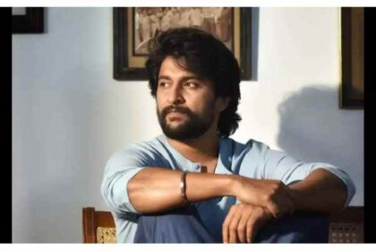 Audience-loving actors: Nani in the lead