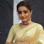 Big discussion: Trisha should quit films?
