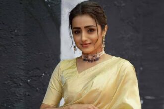 Big discussion: Trisha should quit films?